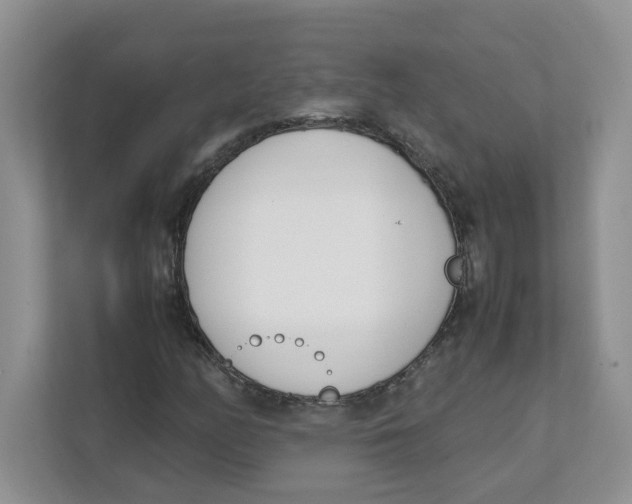 X0000111491158200908041136