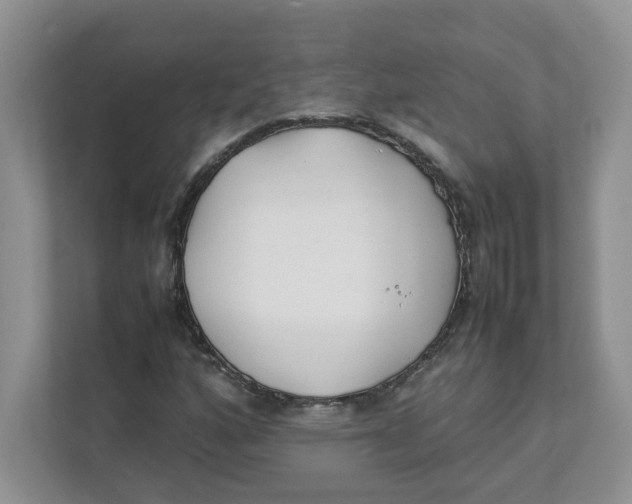 X0000111491160200908041136