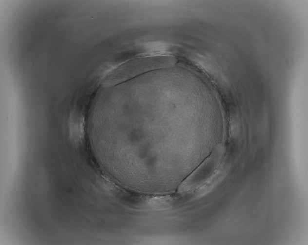 X0000111491161200908041136