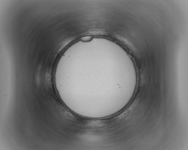 X0000111491162200908041136