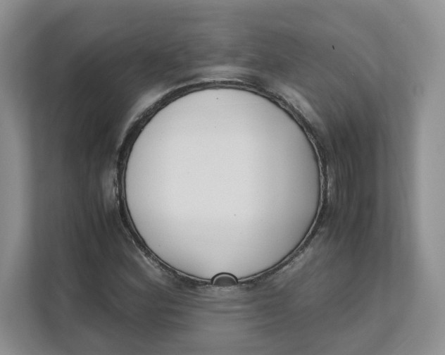 X0000111491164200908041136