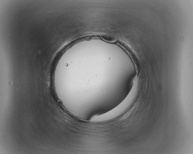 X0000111491165200908041136