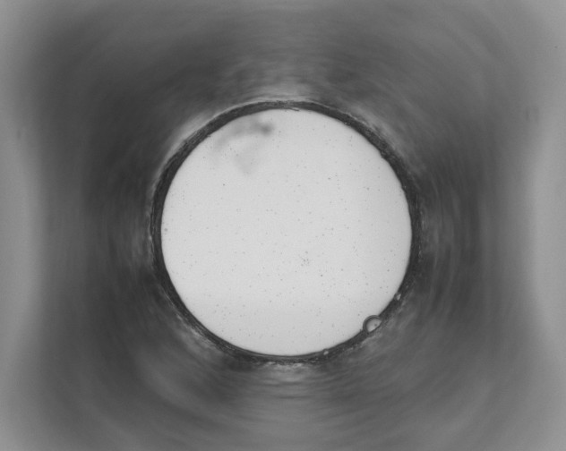 X0000111491168200908041136