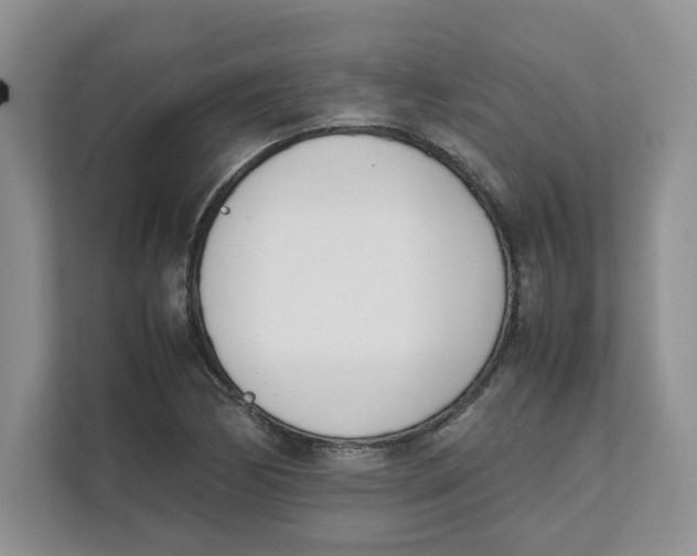 X0000111491170200908041136