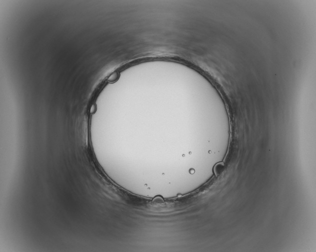 X0000111491171200908041136