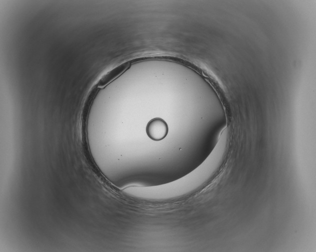 X0000111491173200908041136