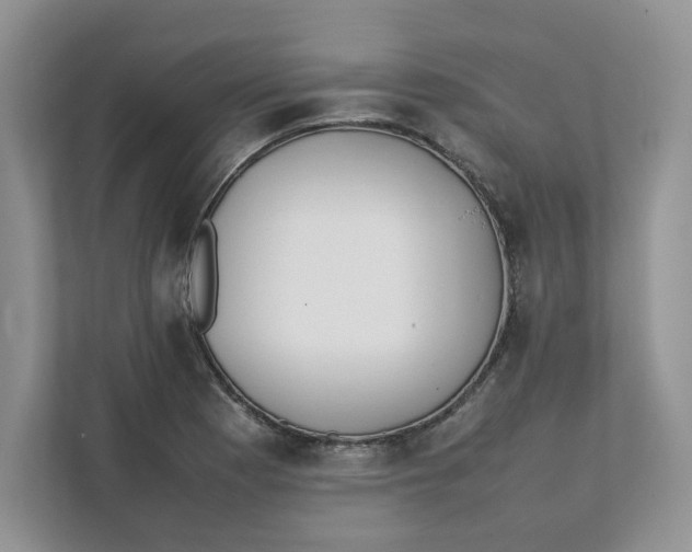 X0000111491177200908041136