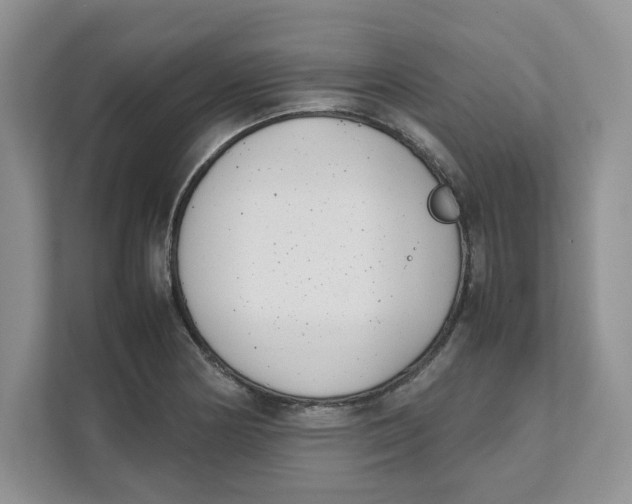 X0000111491178200908041136