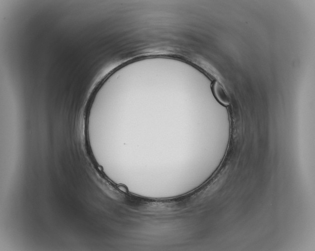 X0000111491179200908041136