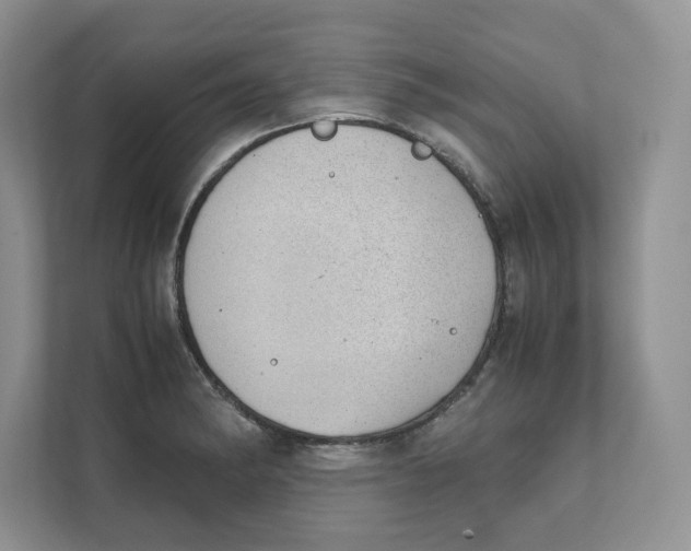 X0000111491182200908041136