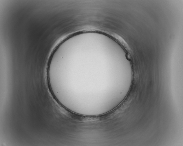 X0000111491183200908041136