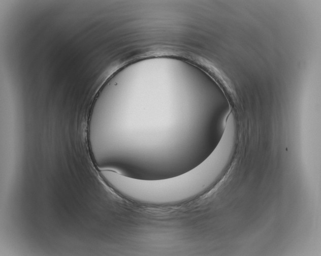 X0000111491185200908041136