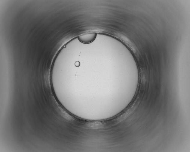 X0000111491186200908041136