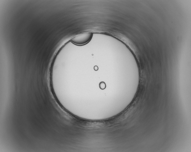 X0000111491187200908041136