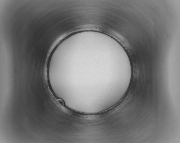 X0000111491188200908041136