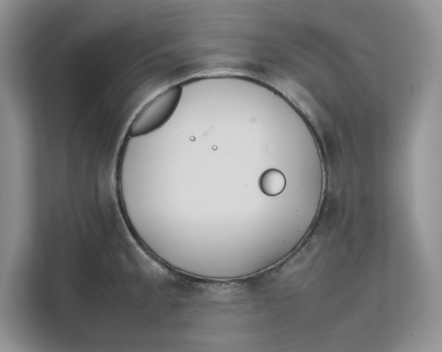 X0000111491189200908041136