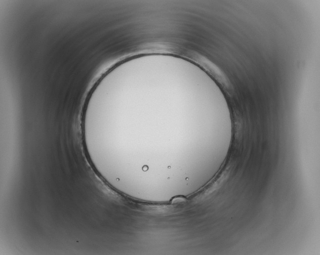 X0000111491192200908041136