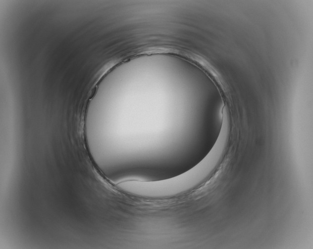 X0000111491193200908041136