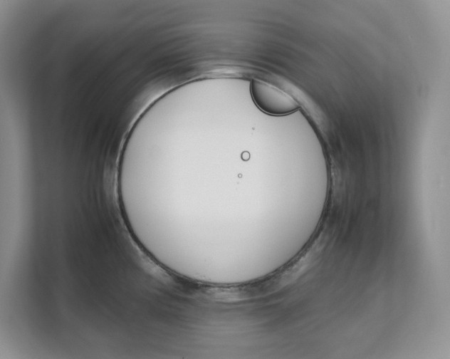 X0000111491194200908041136