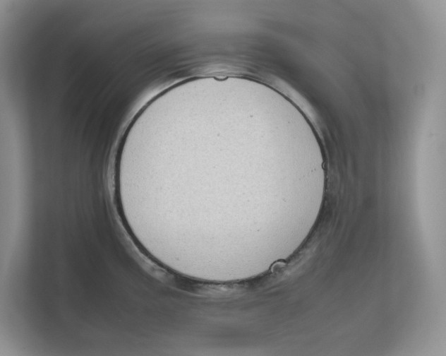 X0000111491195200908041136