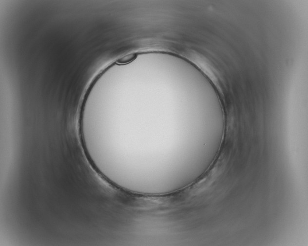 X0000111491197200908041136