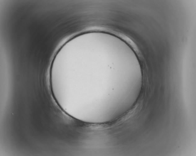 X0000111491199200908041136