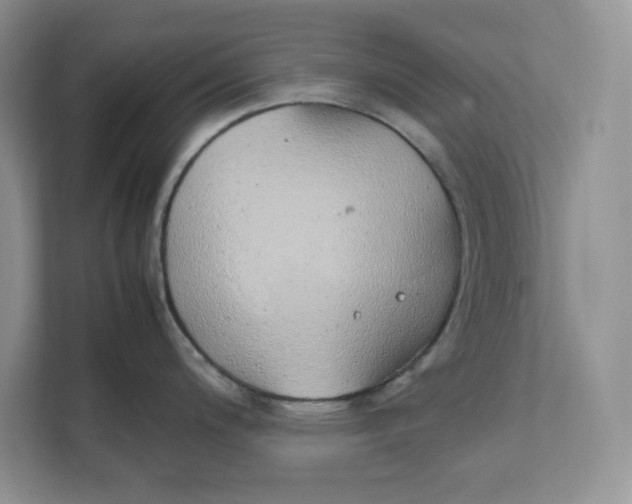 X0000111491200200908041136