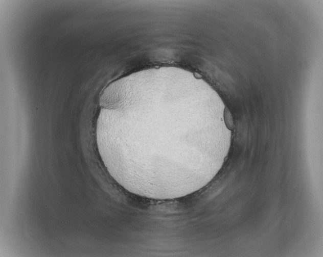 X0000111491201200908041135