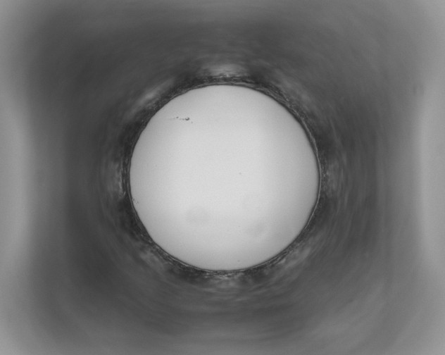 X0000111491205200908041135