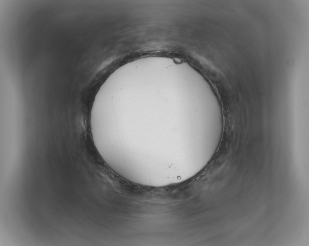 X0000111491206200908041135