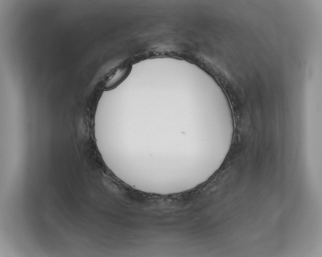 X0000111491207200908041135