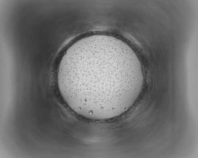 X0000111491208200908041135