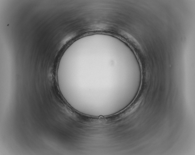 X0000111491210200908041135