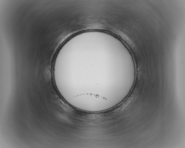 X0000111491212200908041135