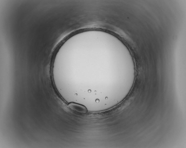 X0000111491216200908041135