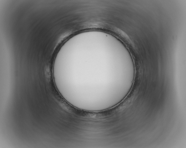 X0000111491218200908041135