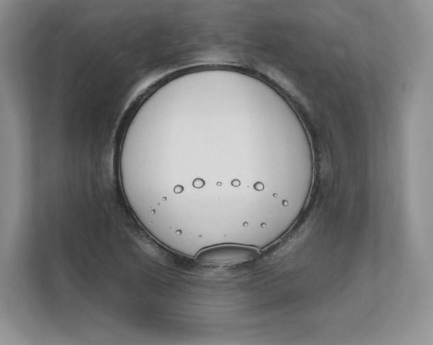 X0000111491222200908041135