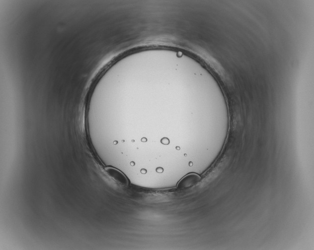 X0000111491224200908041135