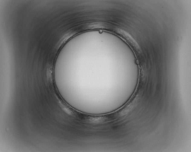 X0000111491225200908041135