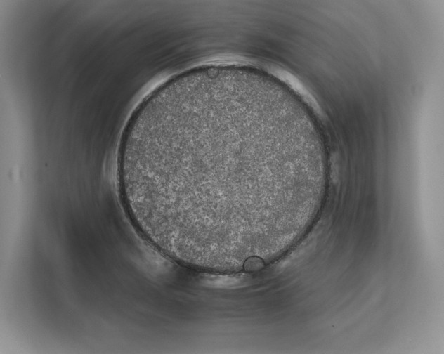 X0000111491229200908041135