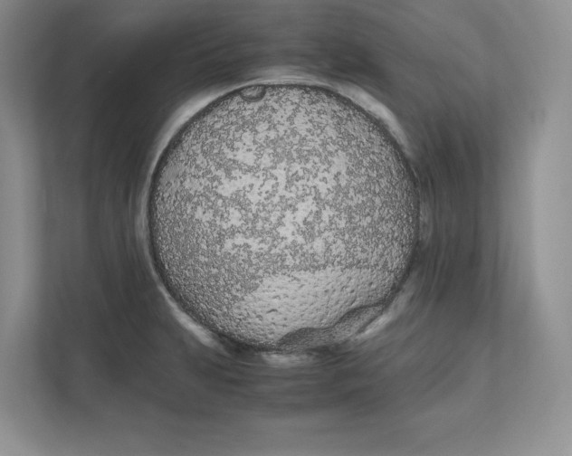 X0000111491231200908041135