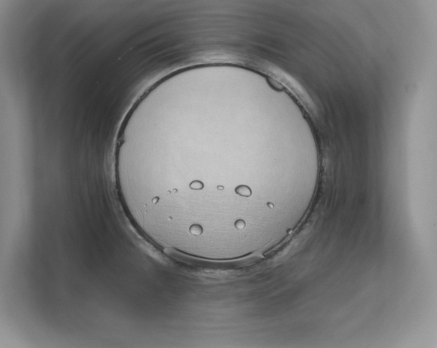 X0000111491236200908041136