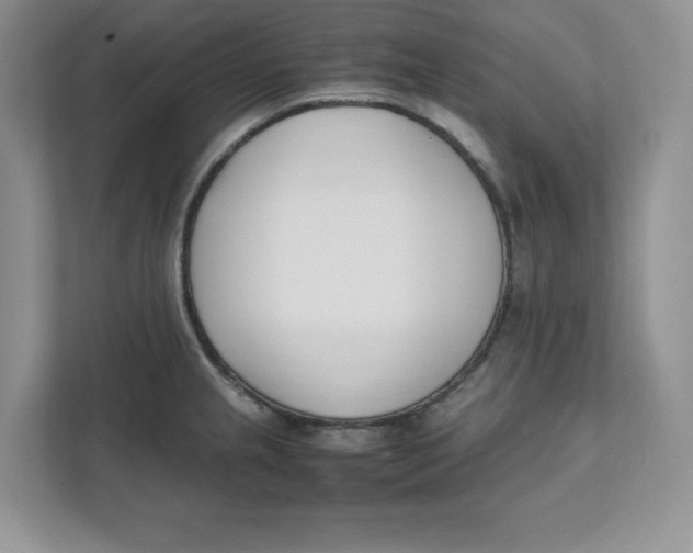 X0000111491237200908041136