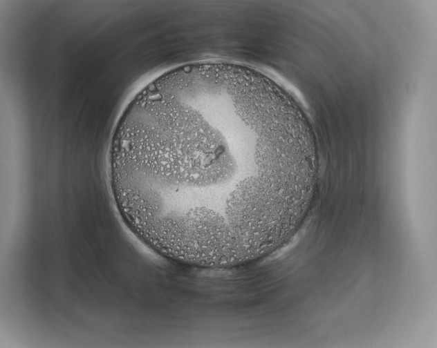 X0000111491239200908041136