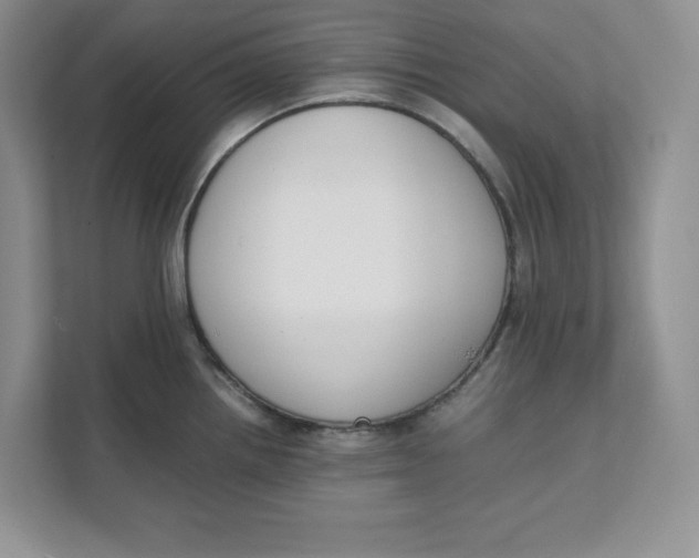 X0000111491242200908041136