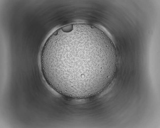 X0000111491243200908041136