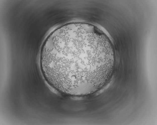 X0000111491245200908041136