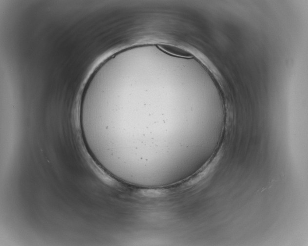 X0000111491246200908041136