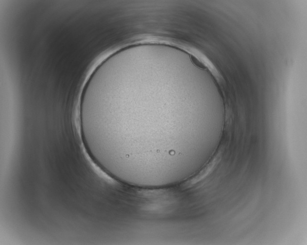 X0000111491247200908041136