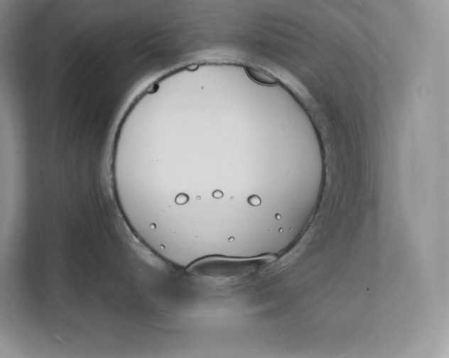 X0000111491248200908041136